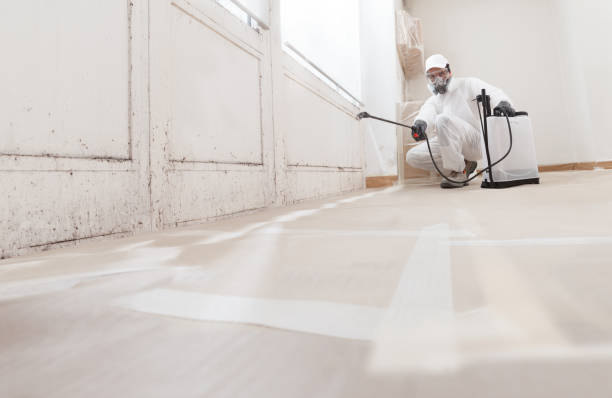 24/7 Emergency Mold Remediation experts in Virginia, VA