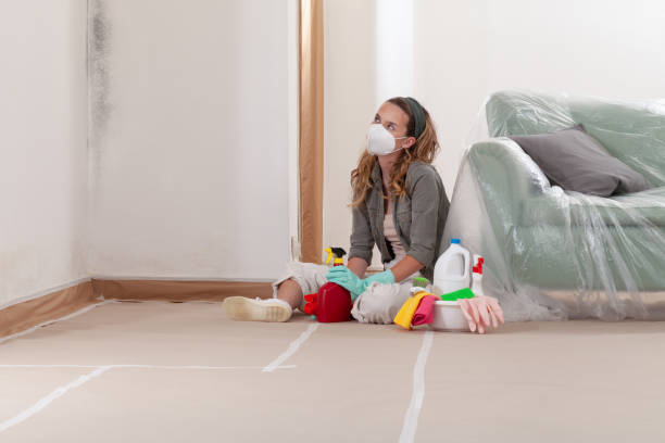 Reliable Mold Remediation contractor in Virginia, VA by 24 Hour Mold Removal